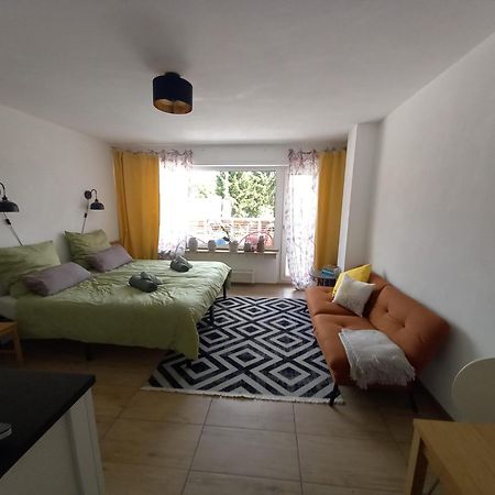 Gemuetliche Koelsche Studio-Wohnung Кельн Екстер'єр фото